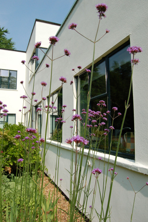 Border design and planting